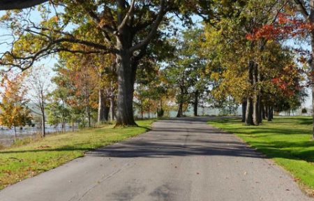 Lake Erie Coast