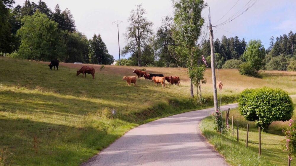 Col de Saxel