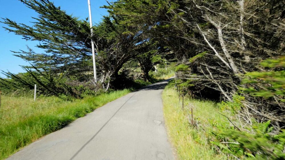 California Coast