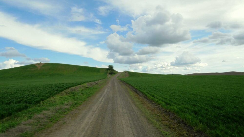 Palouse Ride Gallery Image 2