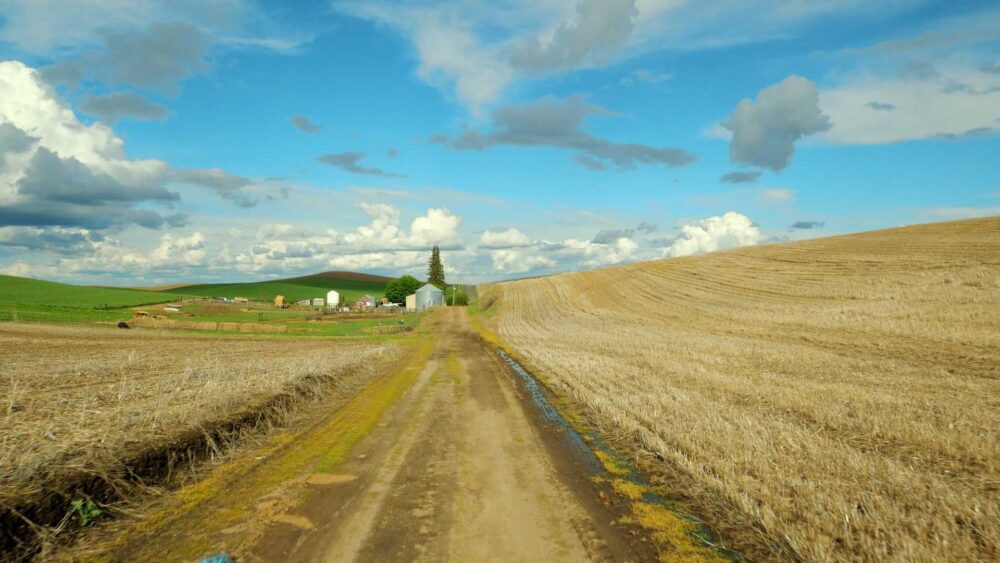 Palouse Ride Gallery Image 3