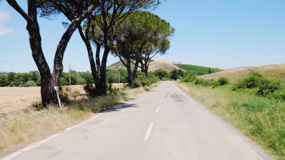 Bolsena lake area