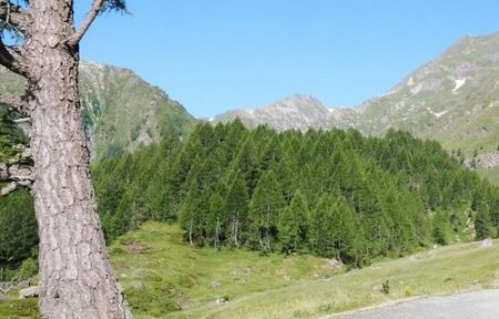 Ride from Locarno to Sambuko Lake