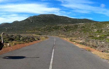 Cape of Good Hope to Kommetjie