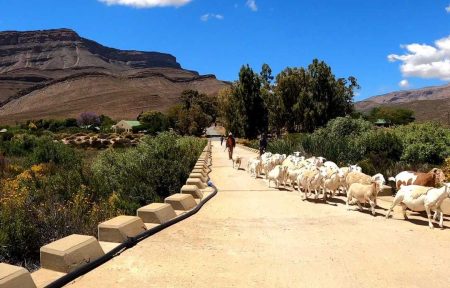 Cederberg Mountains