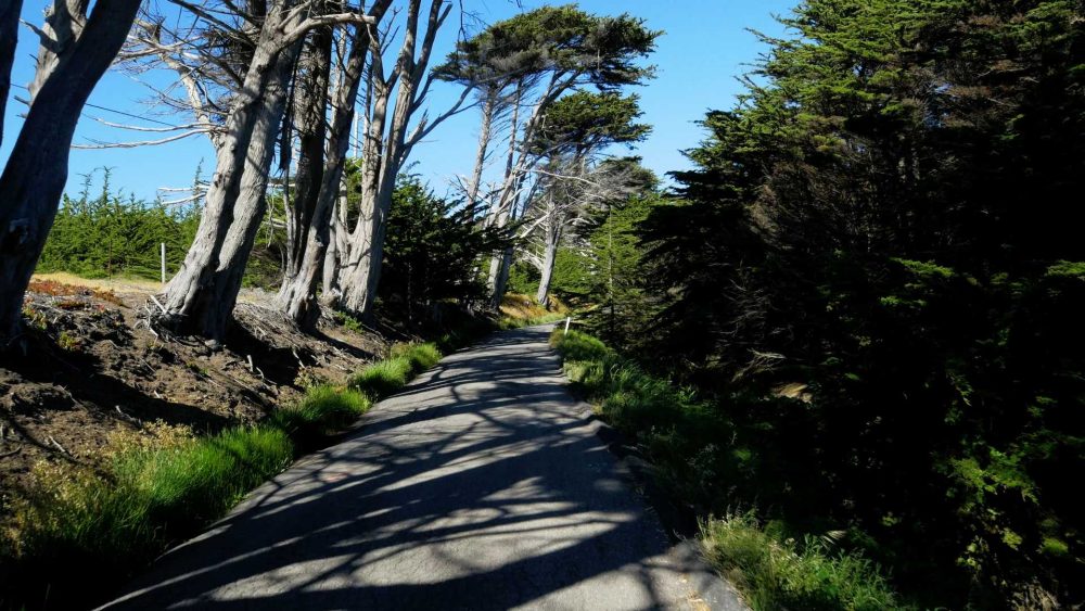 California Coast